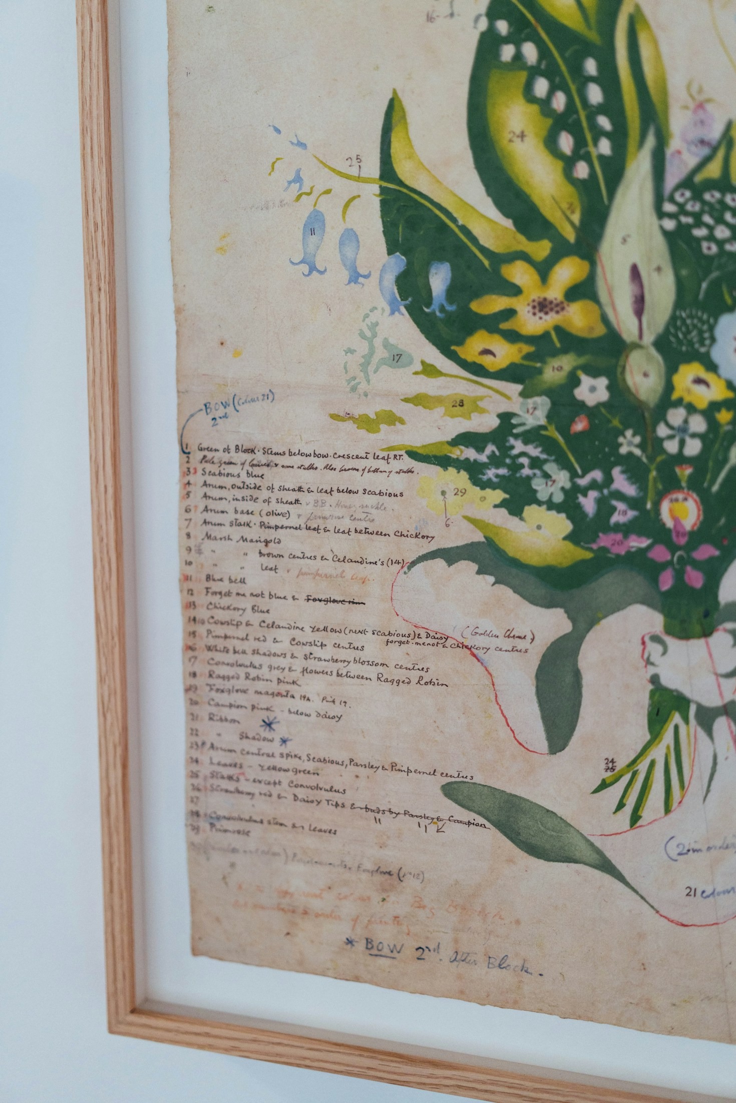 Perché L’Etologia Moderna Sta Cambiando Tutto
